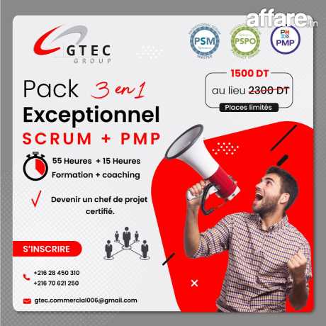 3 Formations en 1 : Scrum PSM1 & PSPO1 + PMP