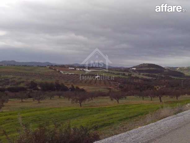 4 hectares ayant une vue de mer à vendre à Hammamet Sud