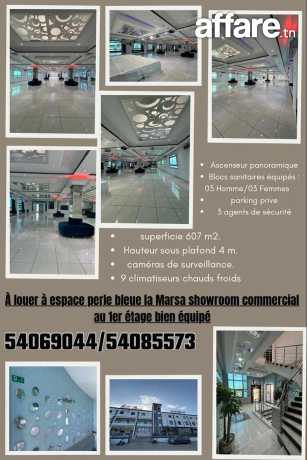 showroom commercial a louer 