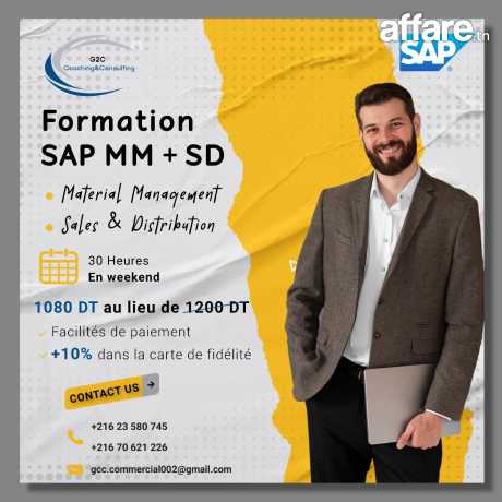 Formation SAP MM + SAP SD 