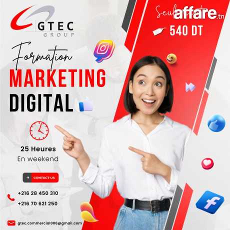 Formation Marketing Digital