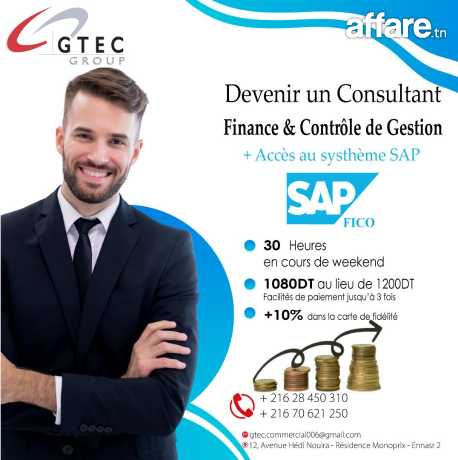 Formation Consultant SAP Fico