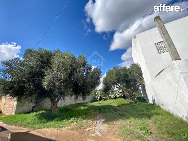 Lot de terrain de 250 m² à Hammamet à vendre 51355351