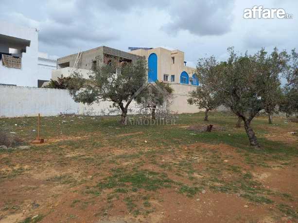 Terrain de 250 m² à Hammamet Nord à vendre 51355351