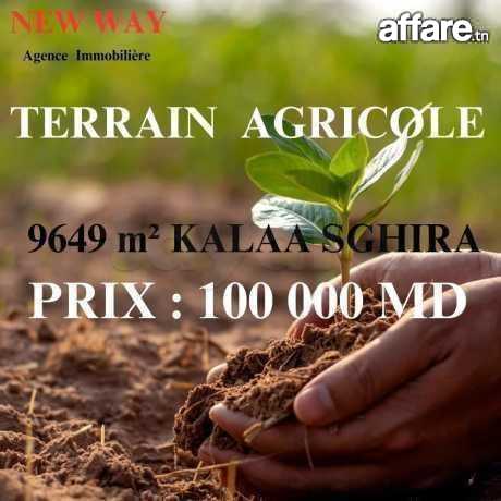 Terrain Agricole 9649 m² à Kalaa Sghira