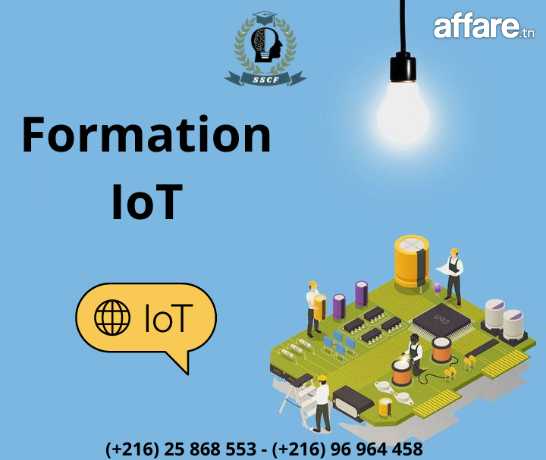 Encadrement PFE en IoT 