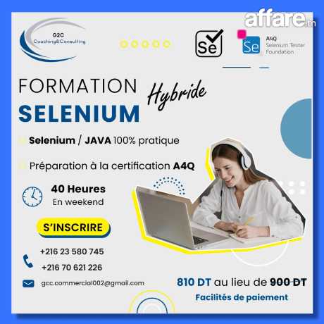 Formation en Sélénium java 