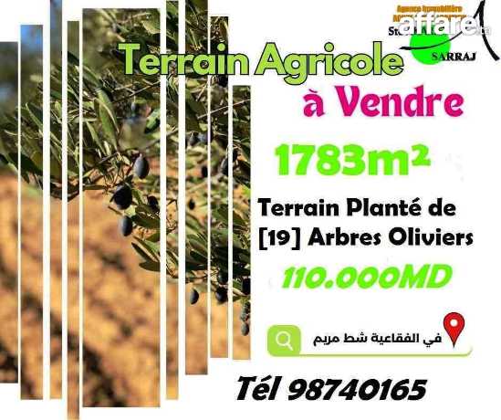 Occasion de Vente #Terrain Agricole #Titré [#1783m²] #Fokaia