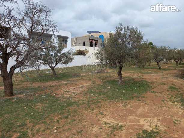 Terrain de 250 m² à Hammamet Nord à vendre 51355351