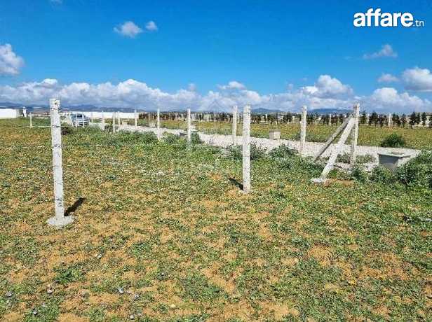 Terrain clôturé de 1000 m² à vendre à 110 MD à Hammamet Sud