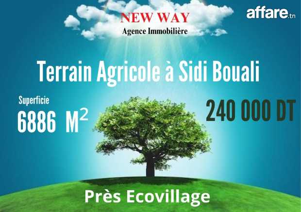 Terrain Agricole 6886 m² à Sidi Bouali