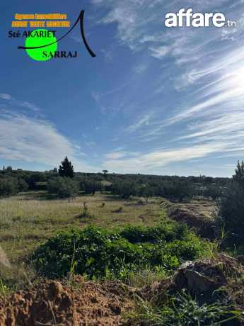 Terrain Agricole [#7545m²] Prés de Usine de Lait Sidi Bouali