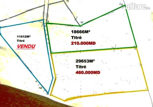 #Deux Terrains Agricole #Cloturé #Sidi Bouali Vers #Knena