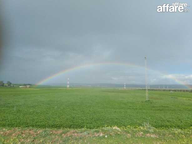 Terrain agricole de 400h titré à beja 