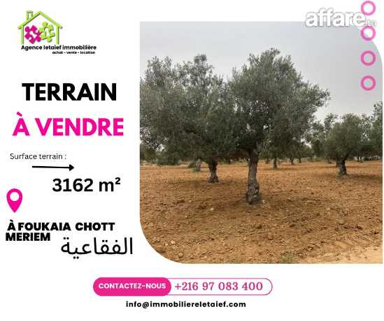 🔰#terrainàvendre🔰3162 m²  #foukaia#ChottMeriem🌳