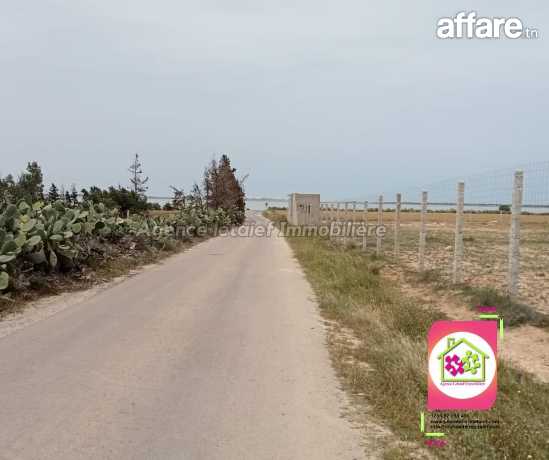 Terrain de 3126 m2 a foukaia Chott meriem 