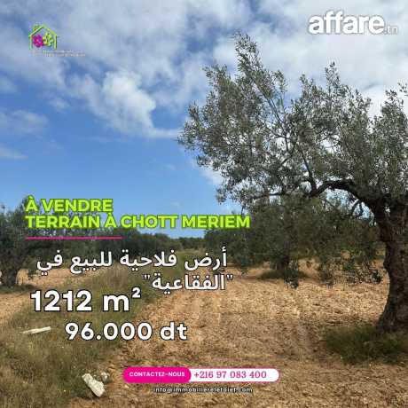 🔰#terrain  #àvendre 🔰 #foukaia  #ChottMeriem  de 1212 🌳 