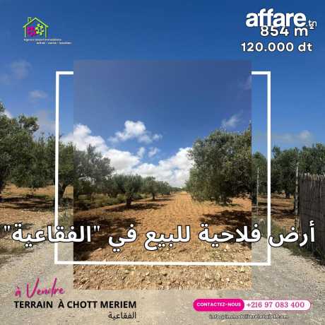 #terrainàvendre #foukaia #ChottMeriem  854 m2 