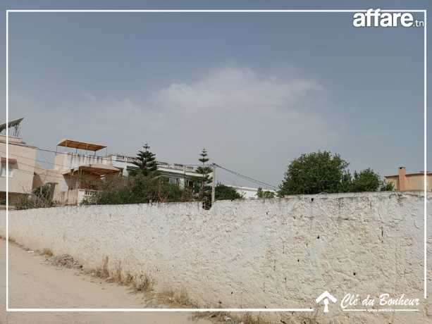 un superbe terrain à sidi sofienne 