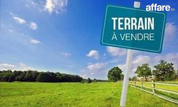 Terrain a vendre à AFH Bouhsina 236m²