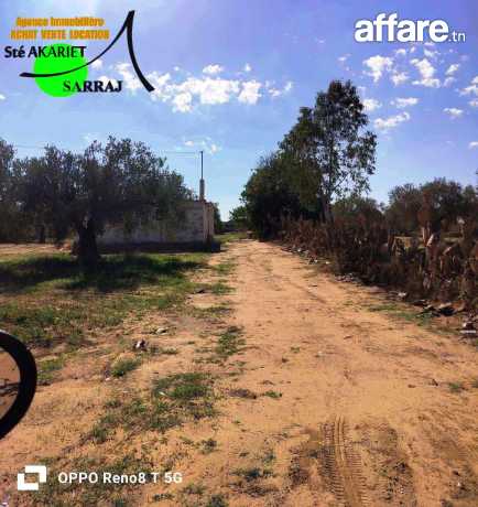 Bon_offre #Terrain Agricole [#9000m²]#Kalaa Kebira #El Henya