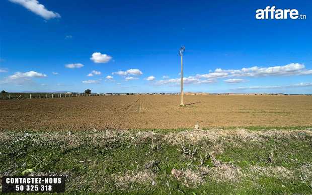 Terrain Agricole à vendre à Chorfech, Sidi Thabet