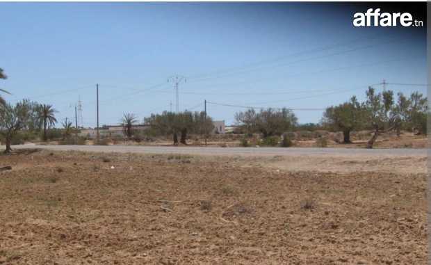 Terrain à vendre à agir Djerba 