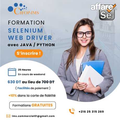 Formation Selenium Python 