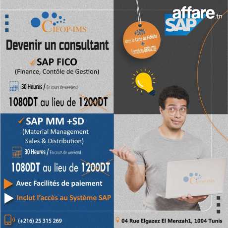 Formation en  SAP MM SD / SAP FICO 