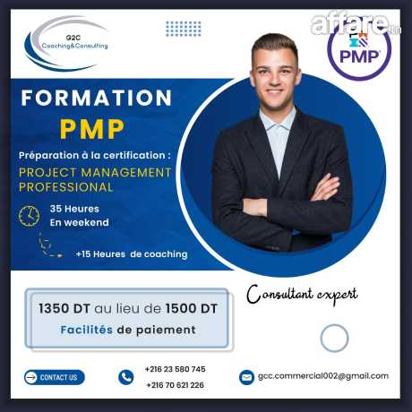 Formation PMP 